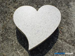 waterjet, awj